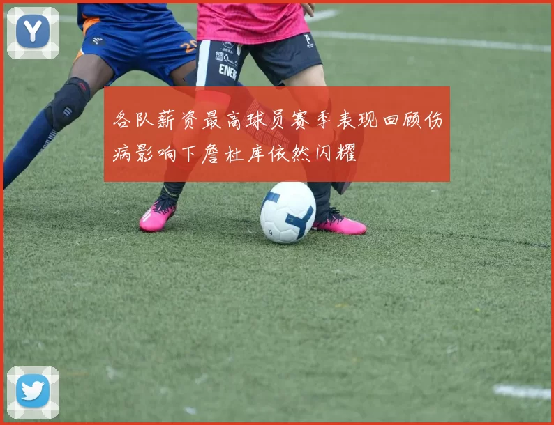 各队薪资最高球员赛季表现回顾伤病影响下詹杜库依然闪耀
